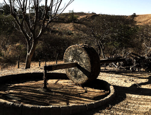 El cortijo suffers a crisis