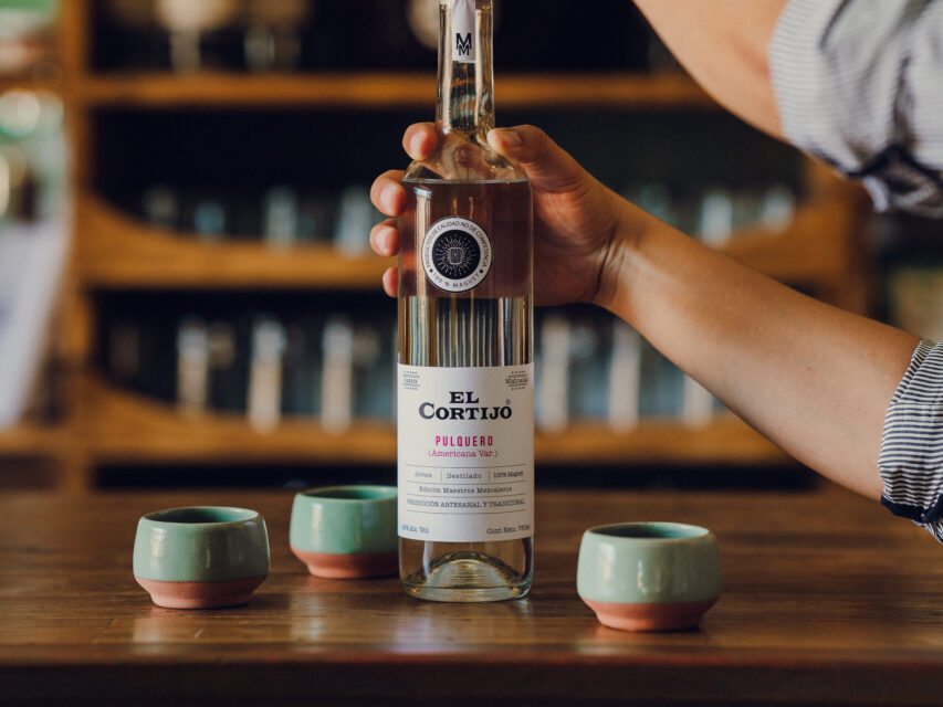 TasteMezcal